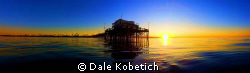 ThanksGiving Morning on a free dive off Newport Pier...sh... by Dale Kobetich 